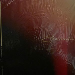 Shawn Mendes ft. Camilla cabello señorita vinyl